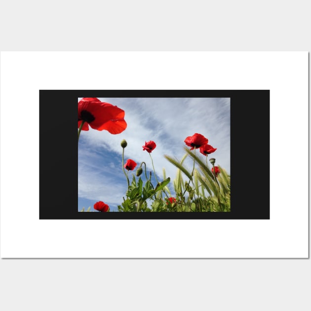 Coquelicots dans le ciel breton Wall Art by rollier